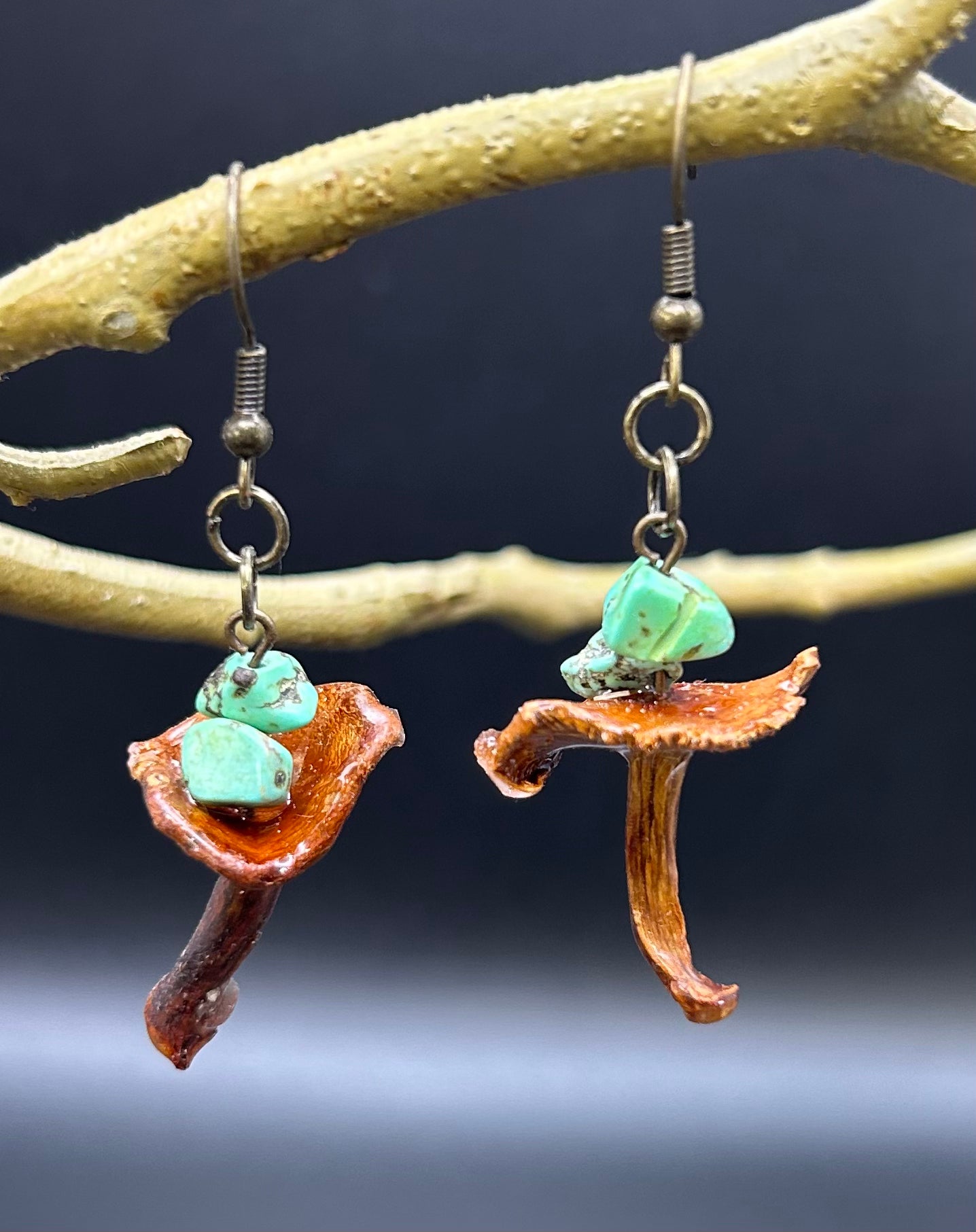 Real mushrooms earrings with turquoise bead